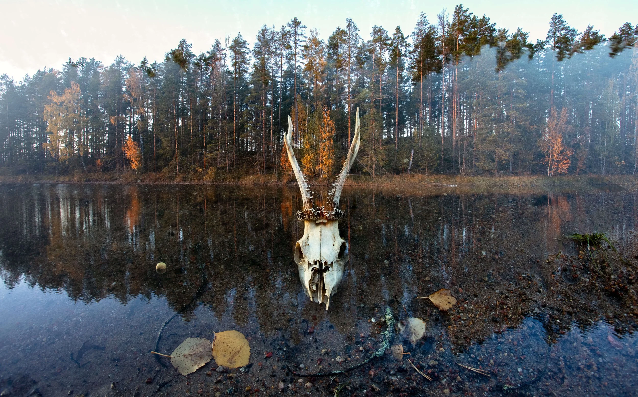 Kruunupää, 2025