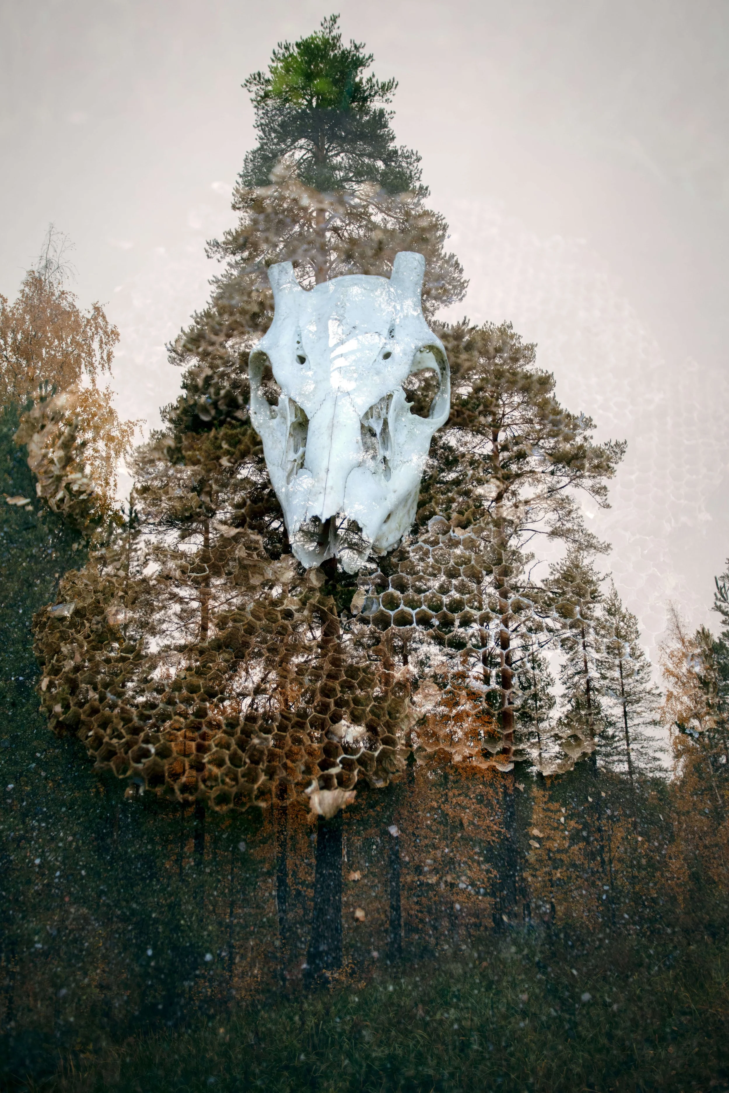 Natura Naturans, 2025