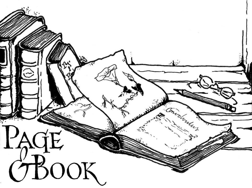 page & book drawing of books