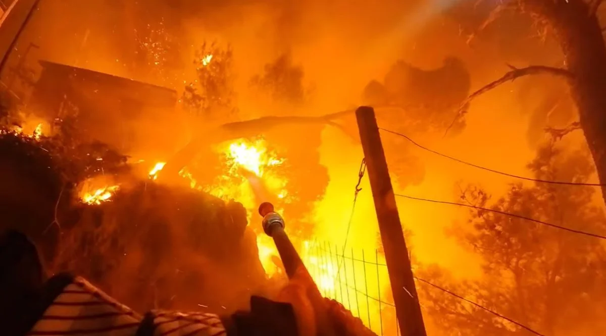 fire-omis