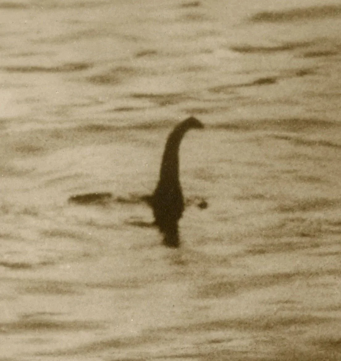 A dinosaur silhouette reflection visible on the water surface.