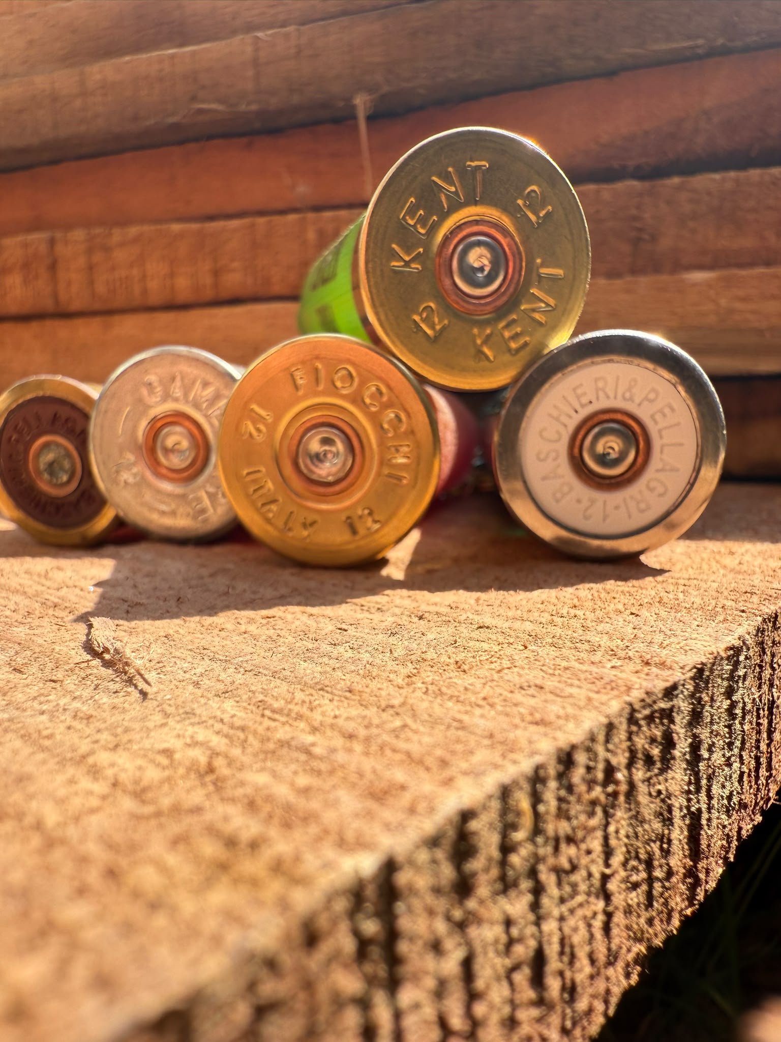 Close-up of several spent shotgun shells lying on a rough wooden surface, with warm sunlight illuminating them.