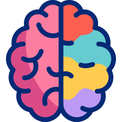 Illustration of a colorful brain divided into two halves with different colors and patterns.