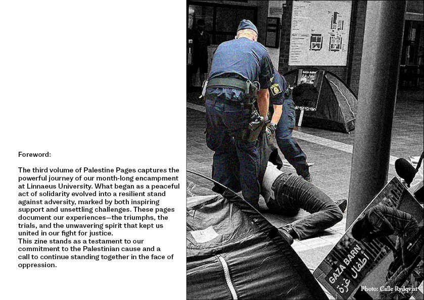 Volume 3 - Zine22.png