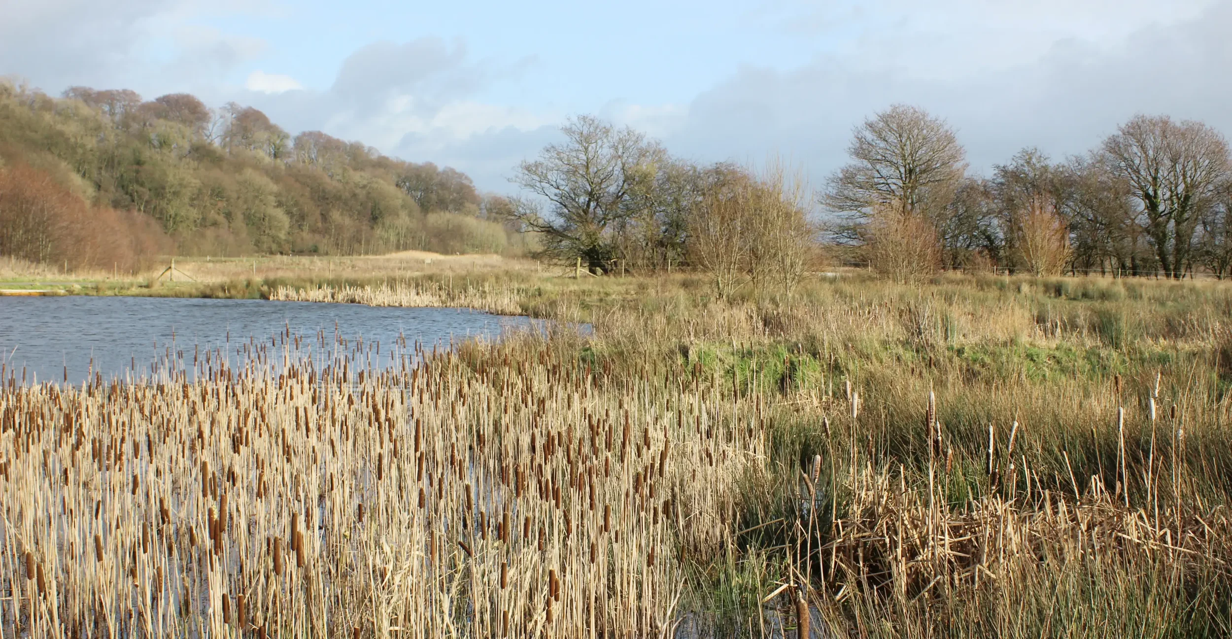 Lower Mill natural landscape and lakes, location of the Hurricane Spa