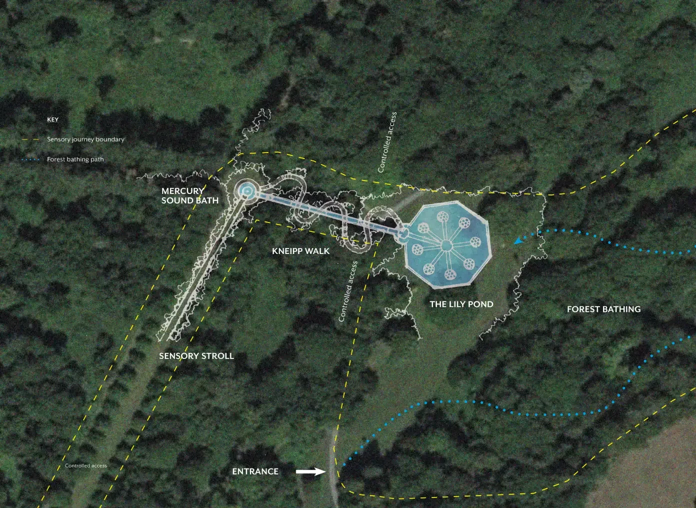 Dromoland Castle sensory wellness journey plan through the estate grounds, including forest bathing, Kneipp walk, Lily Pond and sound healing.