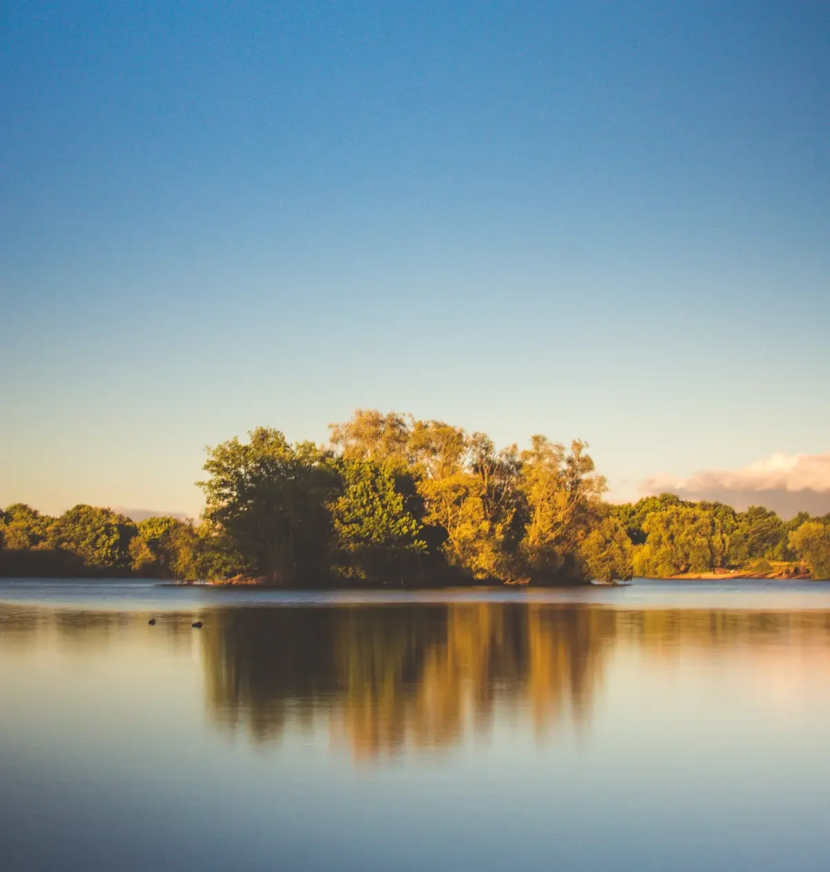 Lake and surrounding landscape at Silverlake in Dorset.