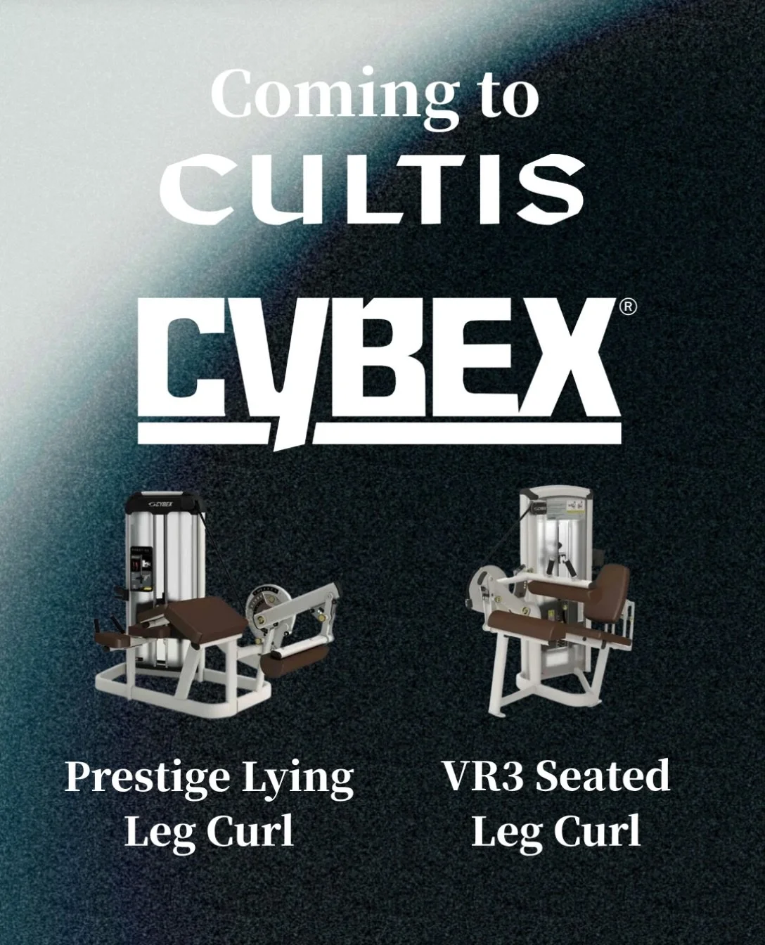COMING TO CULTIS

-Next up-

Cybex 🤝 Hamstrings that drop of the bone:

- Prestige Lying Leg Curl
- VR3 Seated Leg Curl

We new that for hamstrings we wanted cybex and with the VR2, VR3, Classic, Eagle and Prestige ranges all hosting some great hams