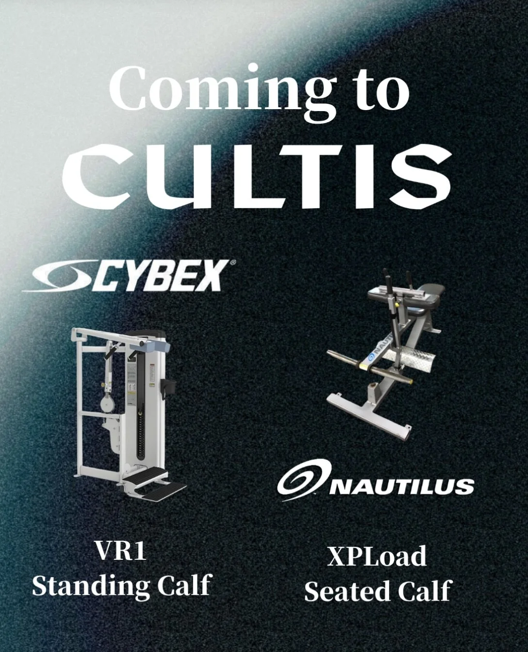 COMING TO CULTIS

-Next up:

Our calf duo so you can wear shorts with confidence:

-CYBEX VR1 Standing Calf
-Nautilus XPLoad Seated calf

Picked not just for quality but also for comfort during use. Great stability, no slipping of the feet, incredibl