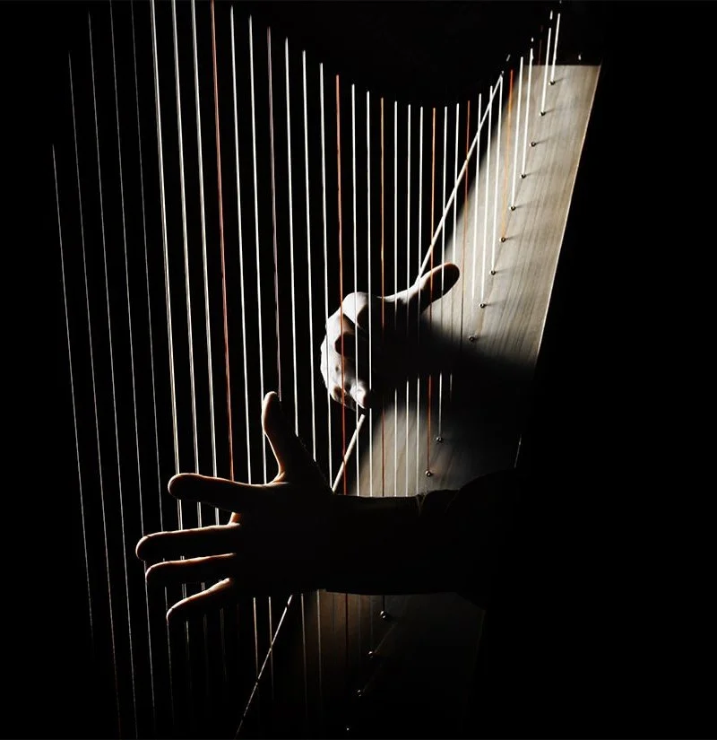 Mano che suona una chitarra classica con corde di nylon, vista dal basso in un'illuminazione soffusa