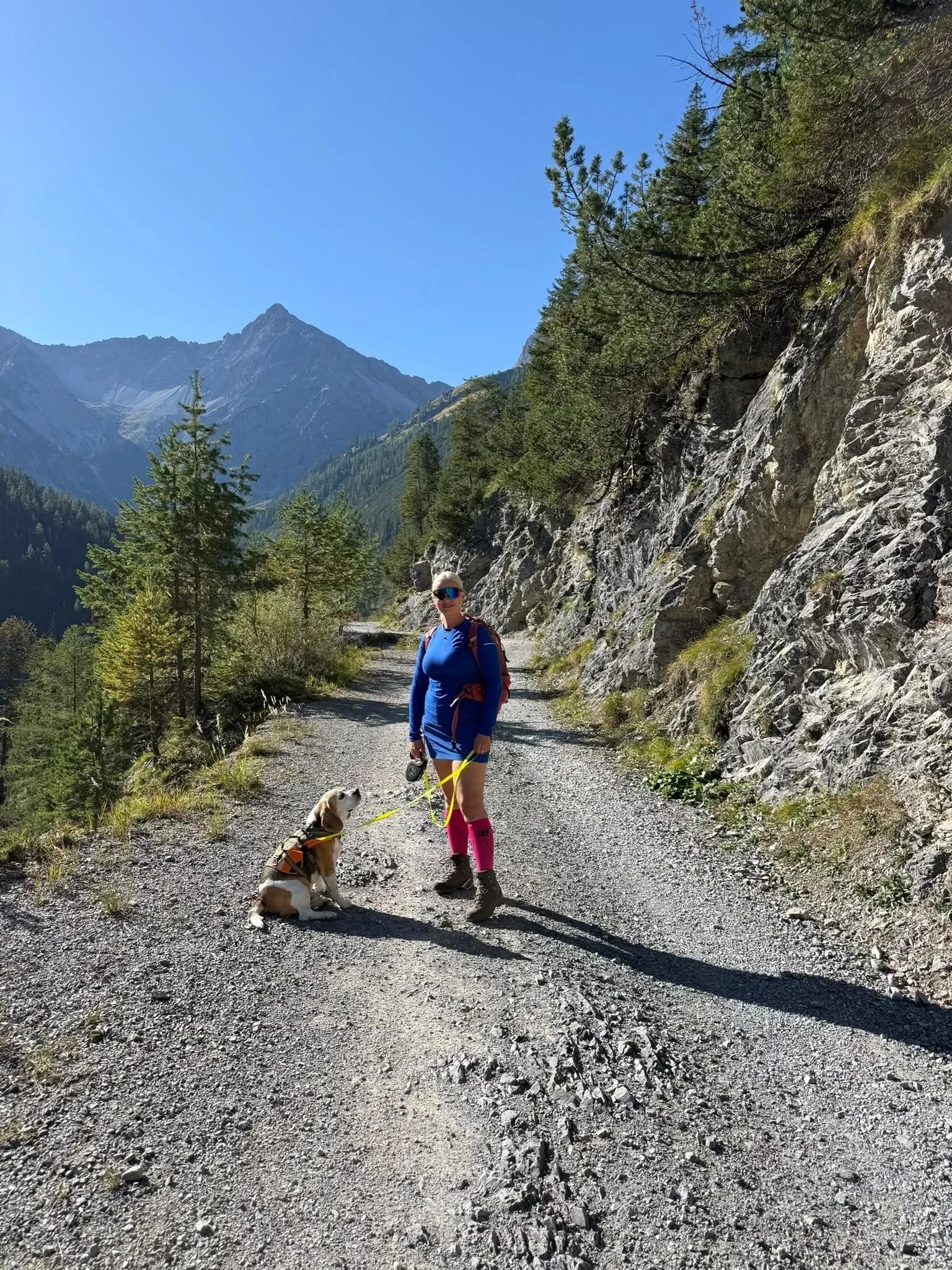 Wanderung zur Grießbachalm im Lechtal mit Bergpanorama und Hund