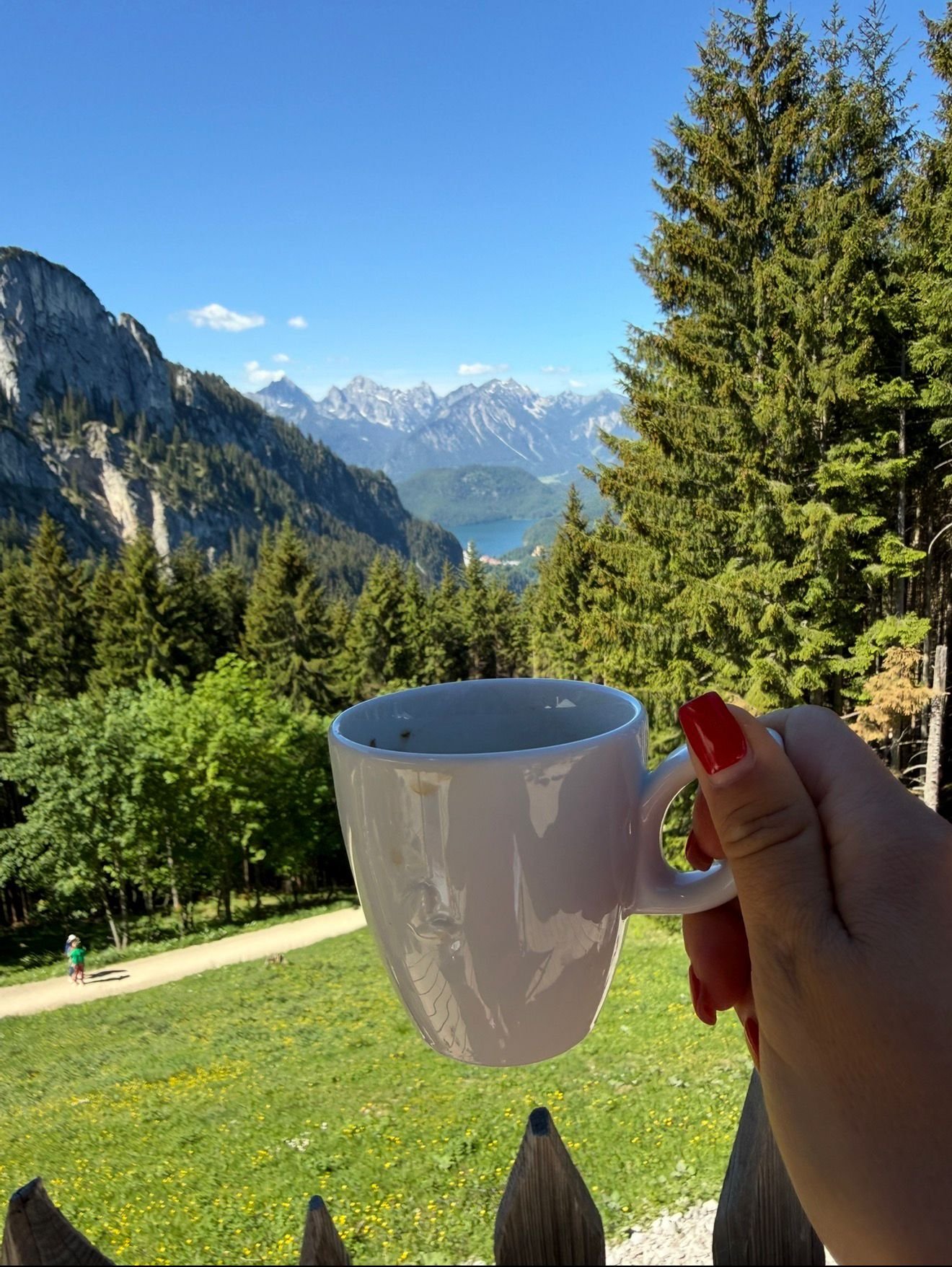 Blick auf Schloss Neuschwanstein und die Allgäuer Alpen aus der Rohrkopfhütte bei Füssen mit Tasse im Vordergrund