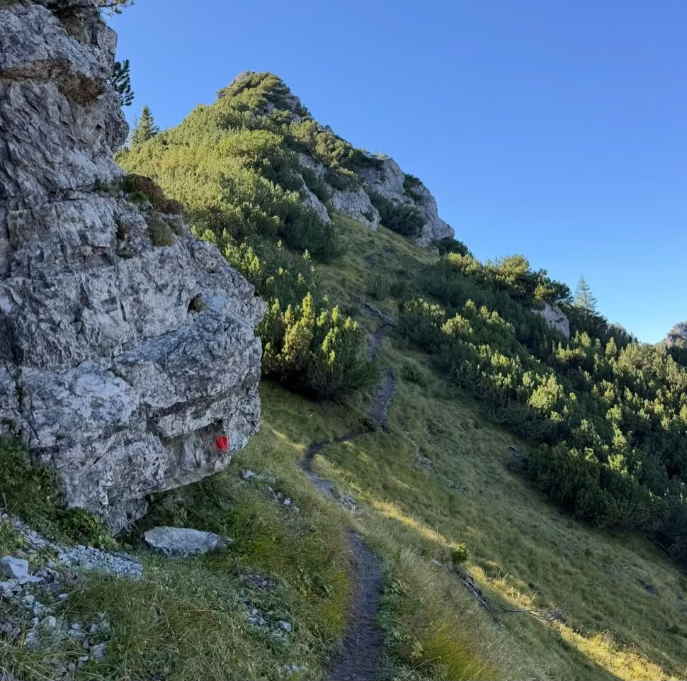 Schmaler, felsiger Rückweg von der Tauernspitze mit roter Wanderwegmarkierung zwischen Bergwiesen und Latschenkiefern.