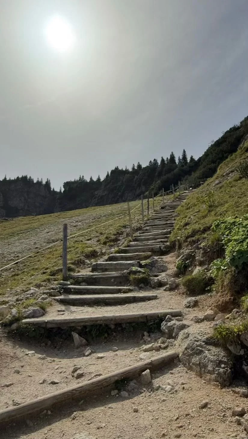 Holzstufen auf dem Wanderweg zum Tegelberghaus am Tegelberg im Allgäu