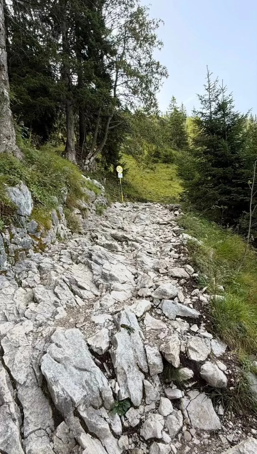 Steiniger und felsiger Wanderweg von der Rohrkopfhütte Richtung Tegelberg und Branderschrofen im Allgäu