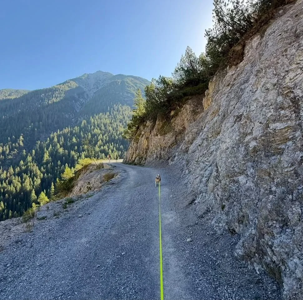 Wanderweg zur Grießbachalm im Lechtal mit Hund entlang der Felswand