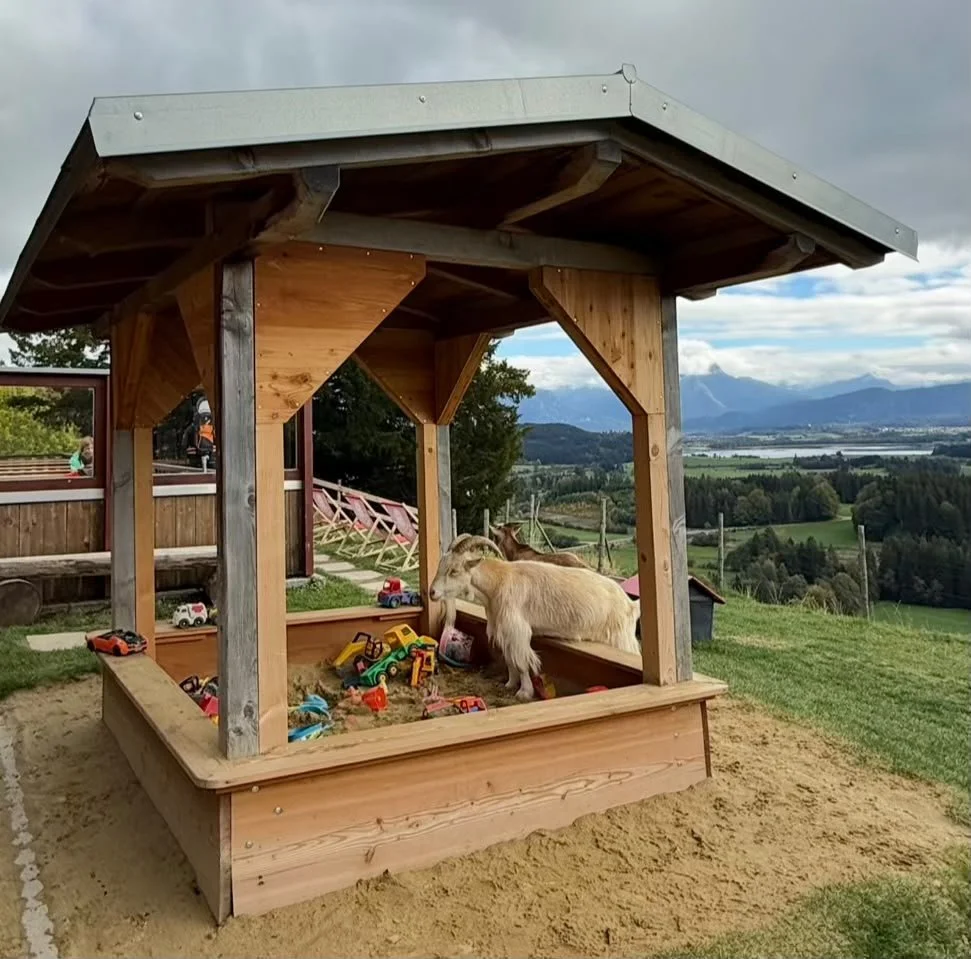 Spielplatz auf der Alpe Beichelstein im Ostallgäu und Blick auf die Allgäuer Berge.
