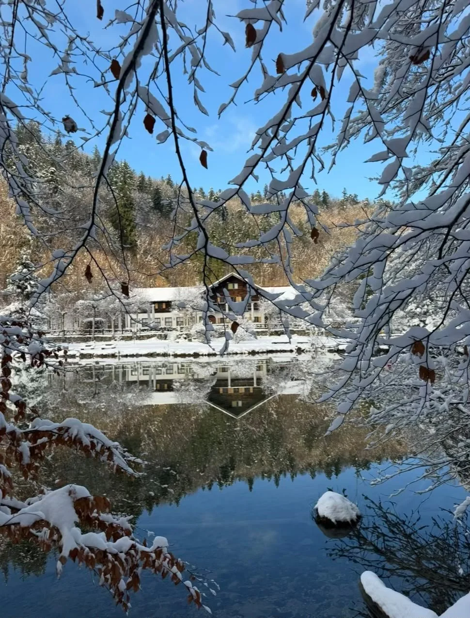 Alatsee bei Füssen im Allgäu im Winter mit verschneiter Landschaft und Spiegelung
