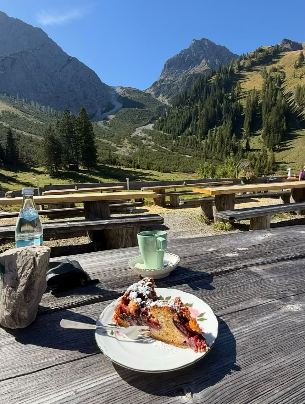 Zwetschgen-Marzipan-Kuchen auf der Grießbachalm mit Bergpanorama im Lechtal