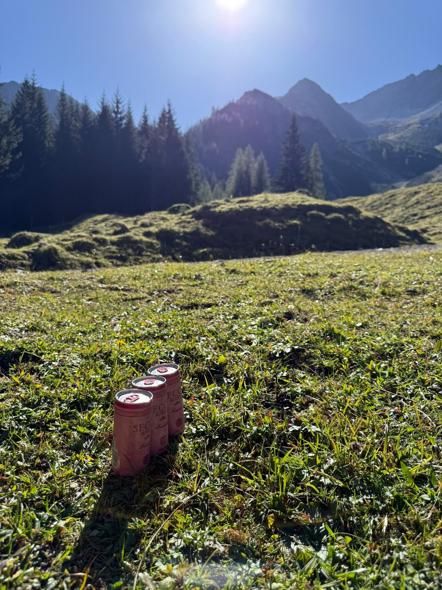 Grüne Bergwiese mit Bergpanorama bei der Wanderung zur Grießbachalm im Lechtal