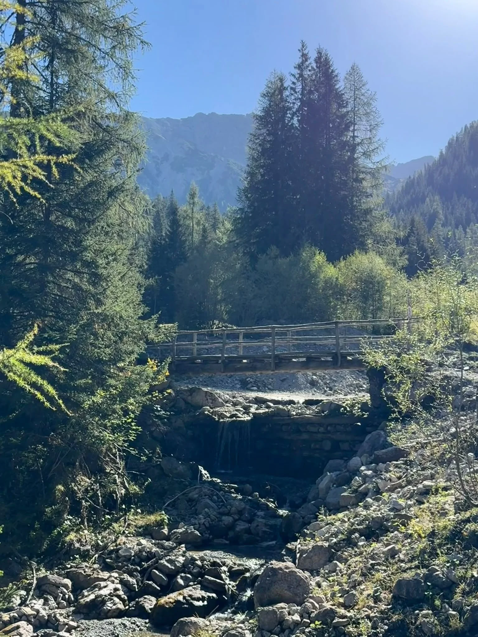 Holzbrücke über einen kleinen Wasserfall bei der Wanderung zur Grießbachalm im Lechtal