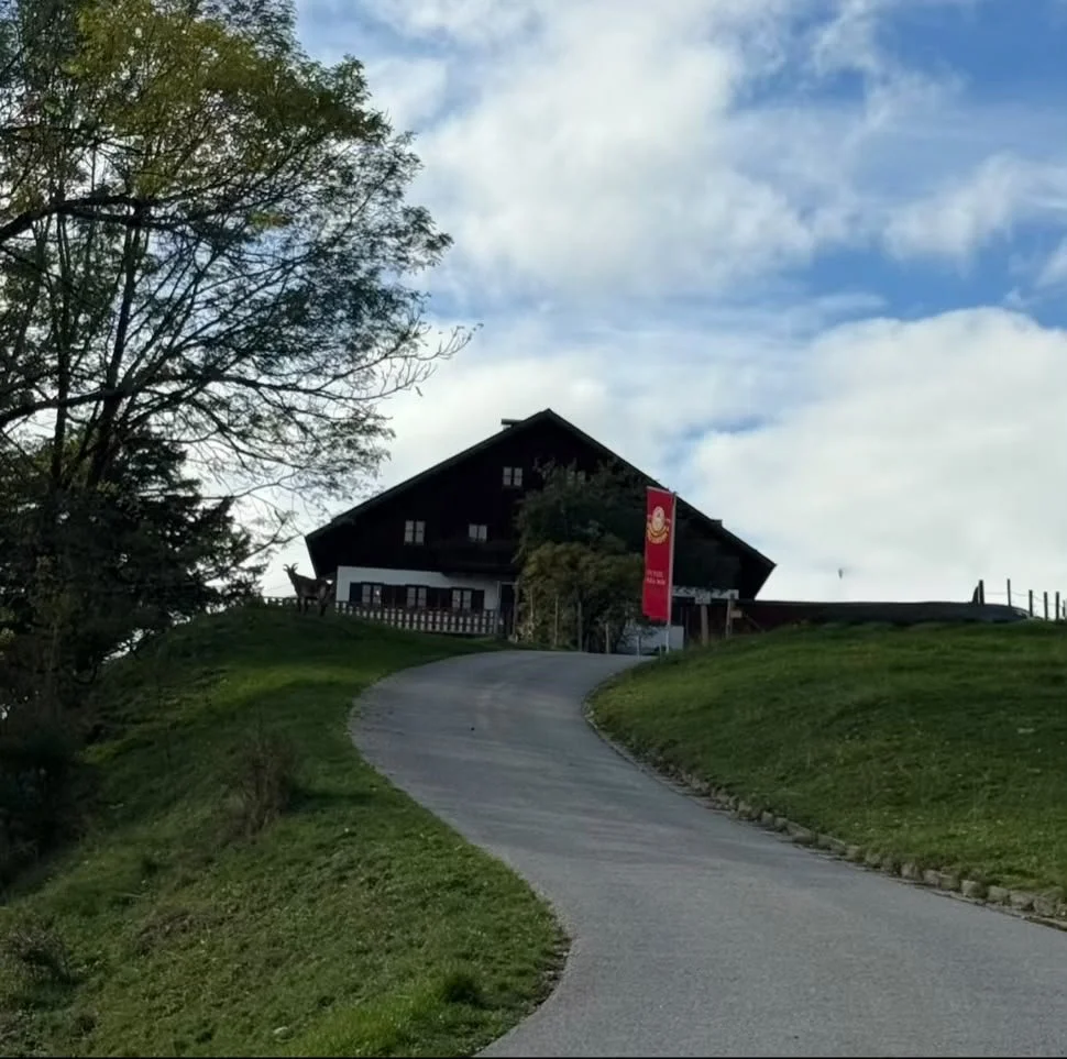 Alpe Beichelstein im Ostallgäu mit grüner Wiese, geschwungener Zufahrtsstraße und traditionellem Alpenhaus unter blau-weißem Himmel.