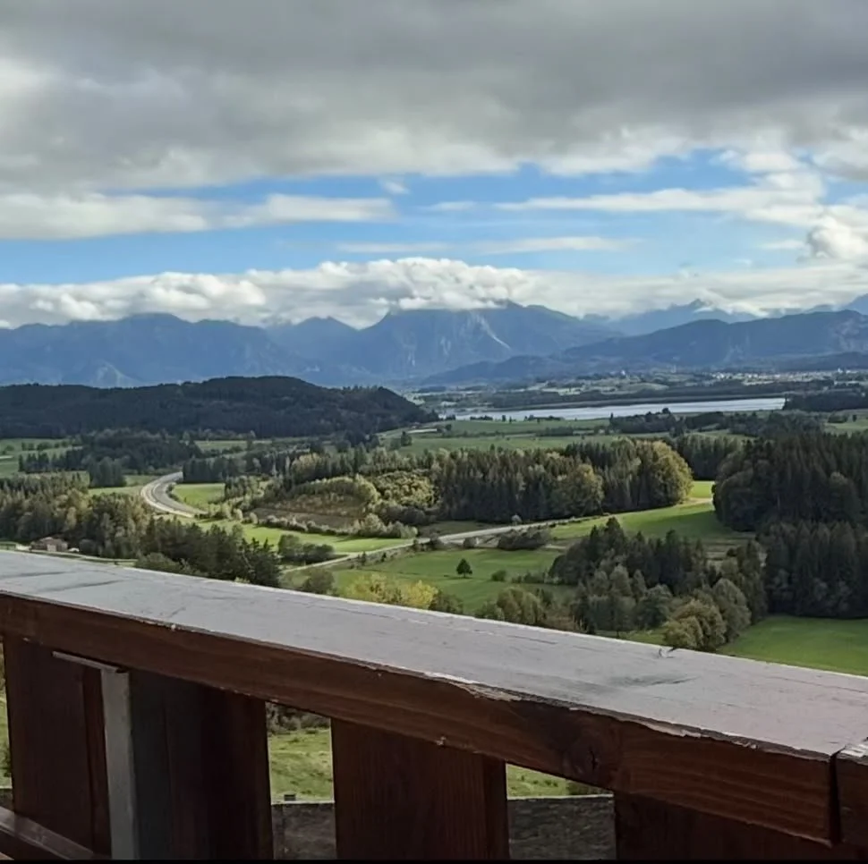 Panoramablick von der Alpe Beichelstein im Ostallgäu auf die grünen Wiesen, Wälder, den Forggensee und die Allgäuer Alpen unter einem bewölkten Himmel.