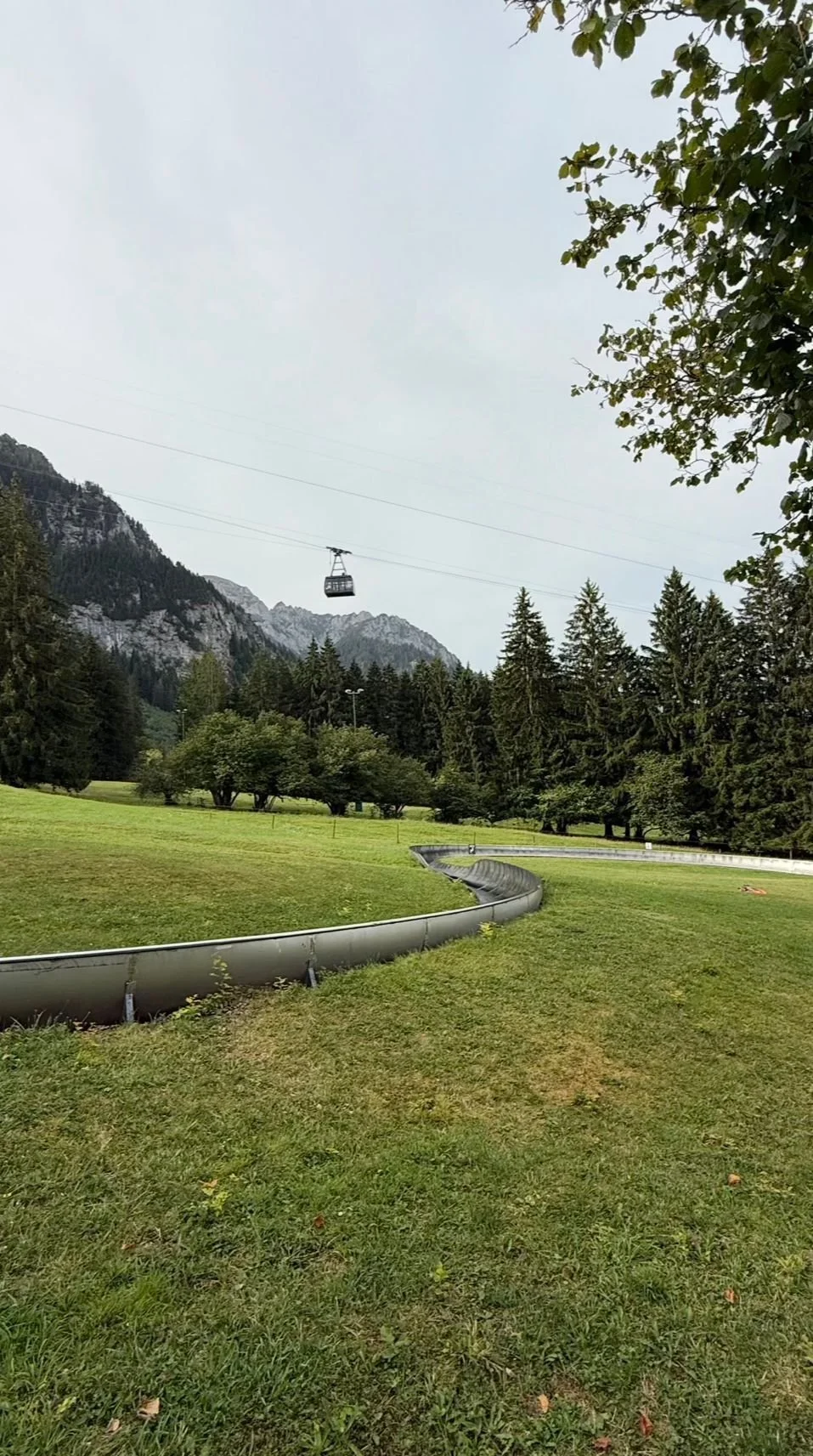 Sommerrodelbahn am Tegelberg in Schwangau bei Füssen im Allgäu mit Blick auf die Berge