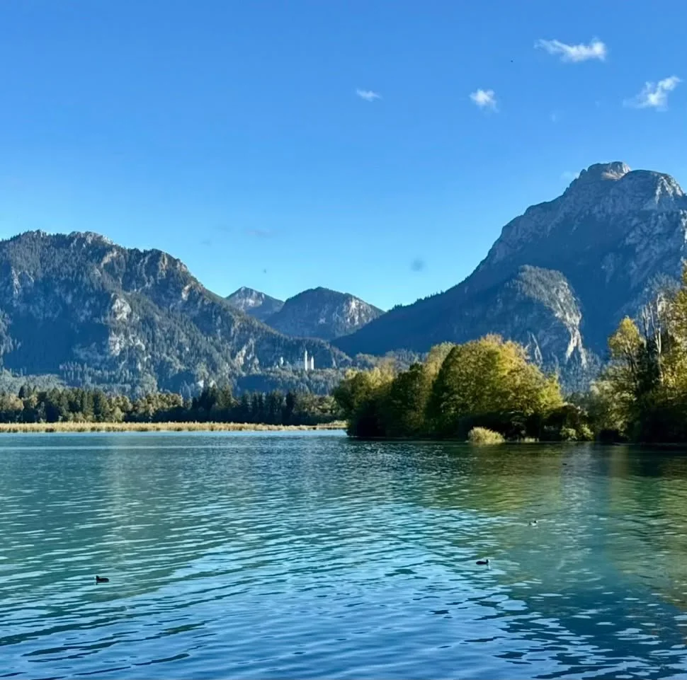 Forggensee im Allgäu mit Blick auf Schloss Neuschwanstein zwischen bewaldeten Bergen und türkisblauem Wasser.