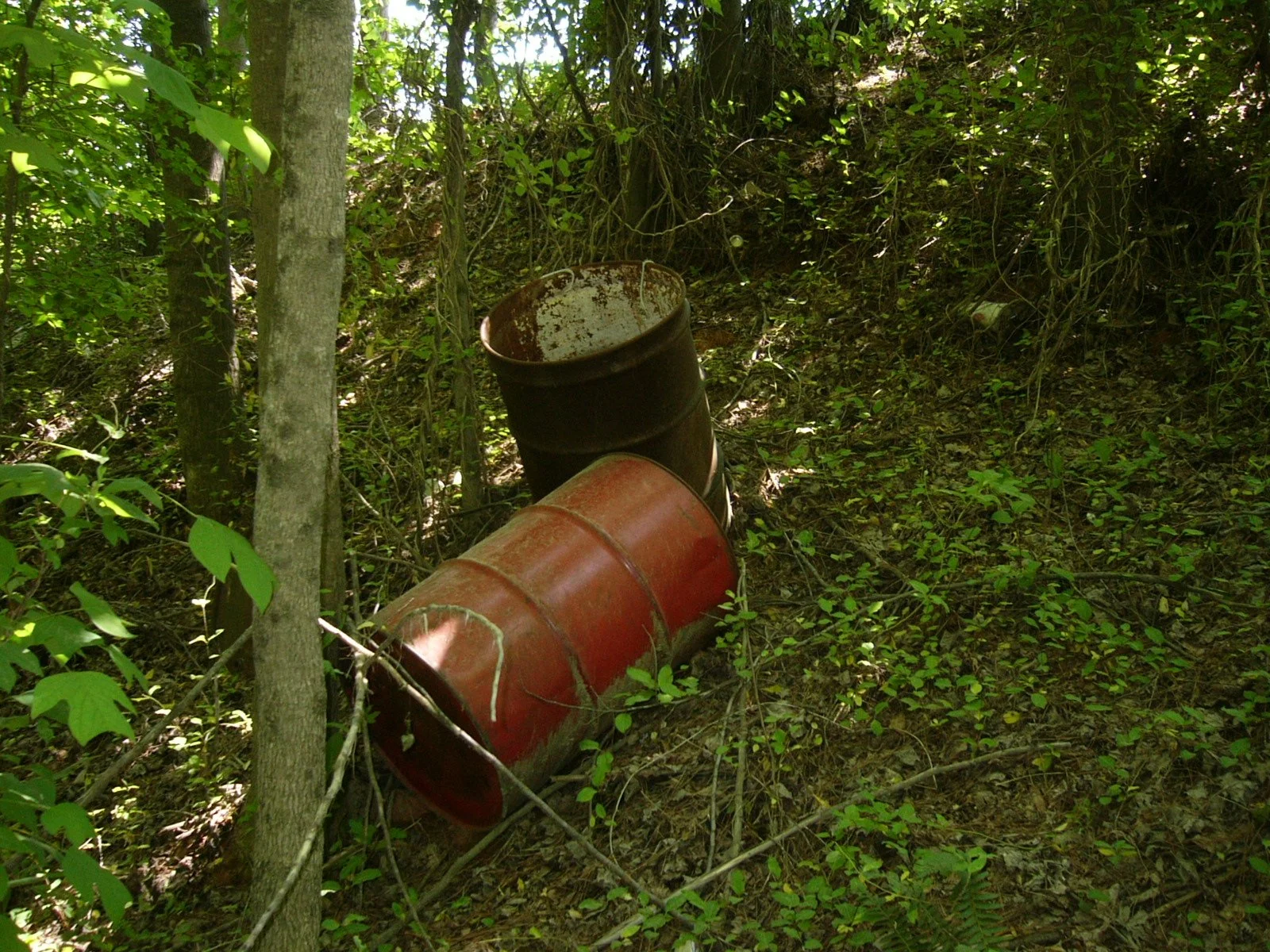 Environmental Risk Review