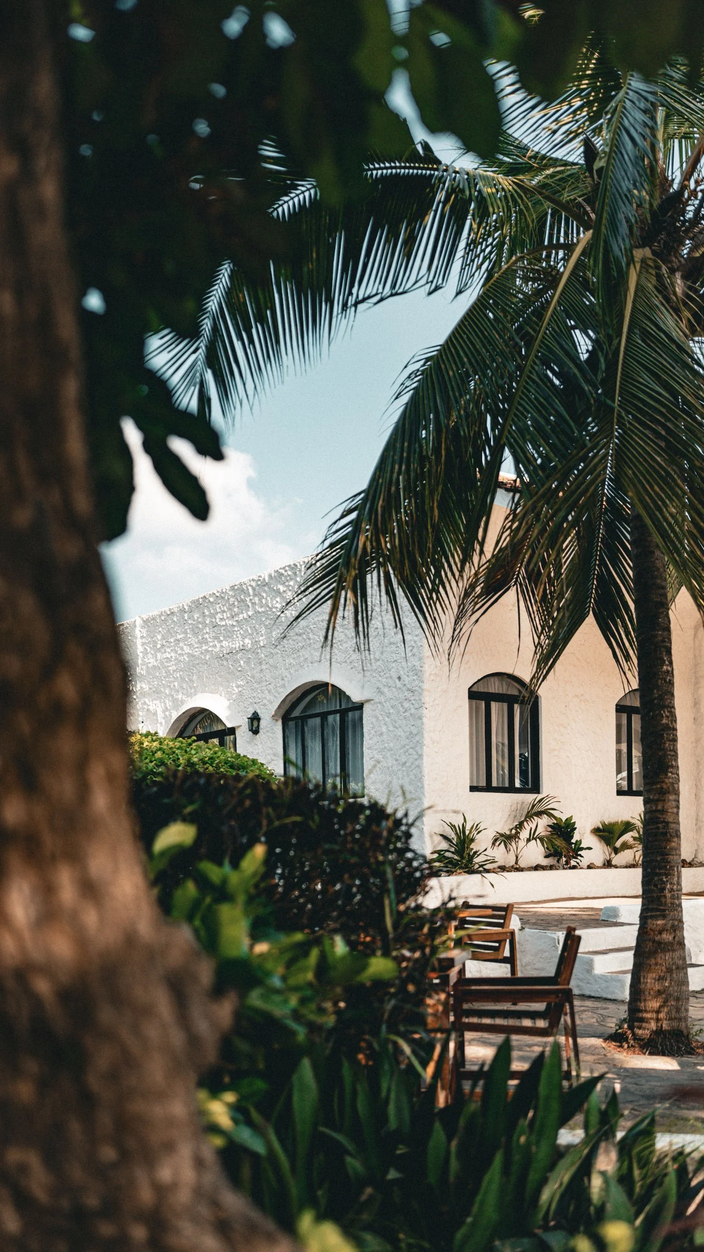 A white building with arched windows, surrounded by lush green plants and palm trees, viewed through foliage in the foreground.
