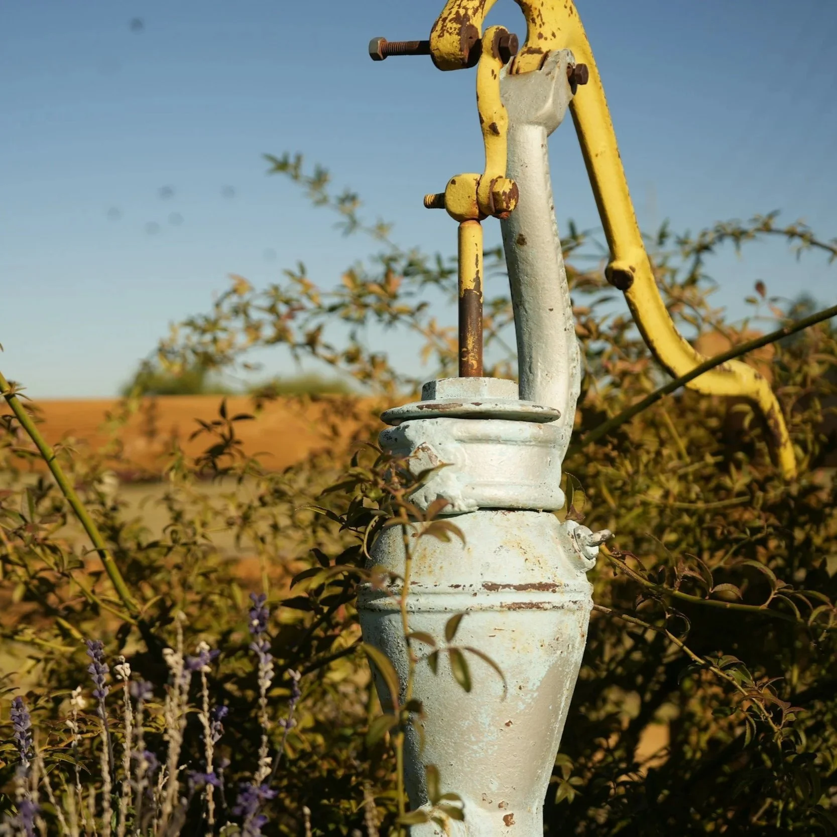How to Keep Your Centrifugal Pump Running Great