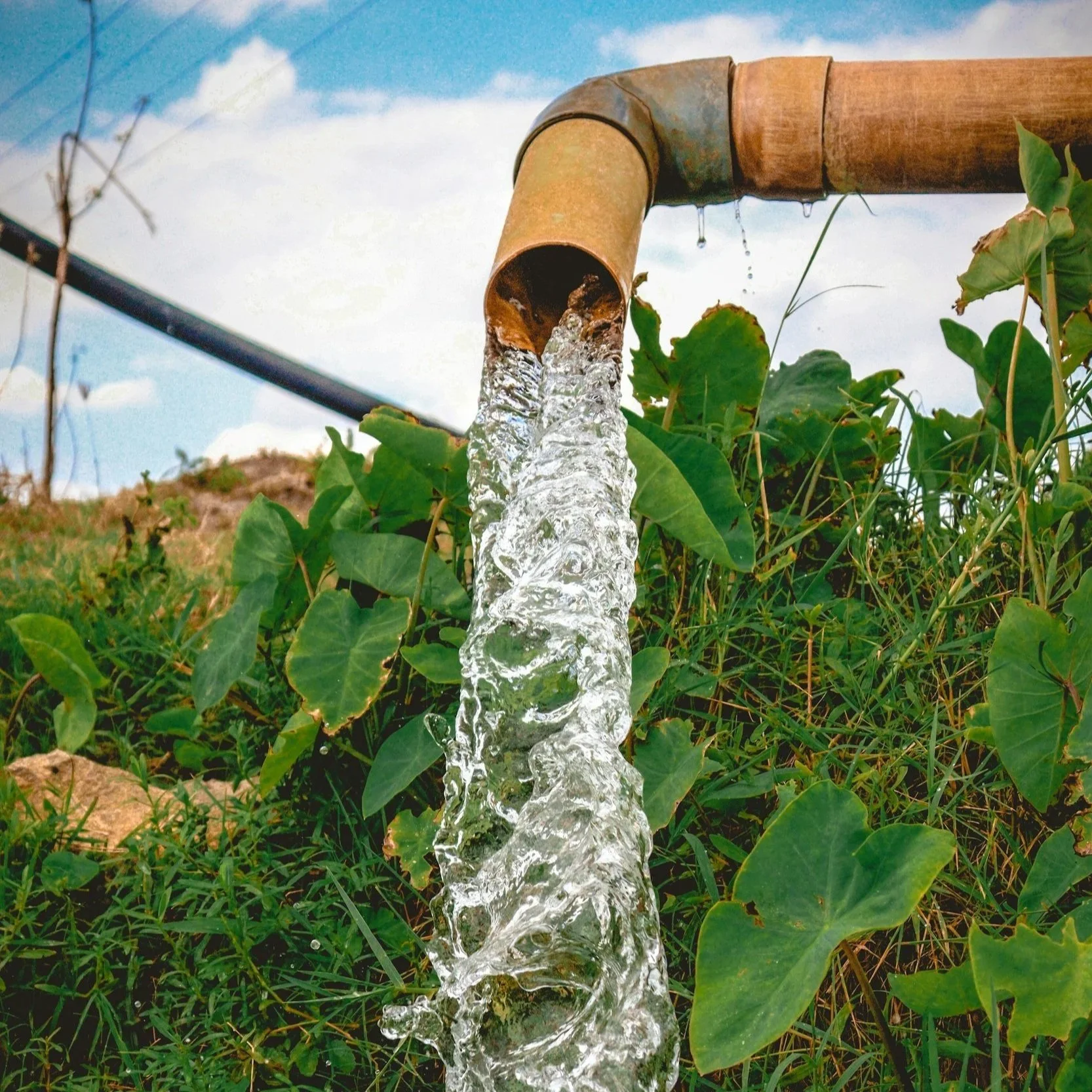 Maximizing Crop Yields with Reliable Irrigation Pump Repairs