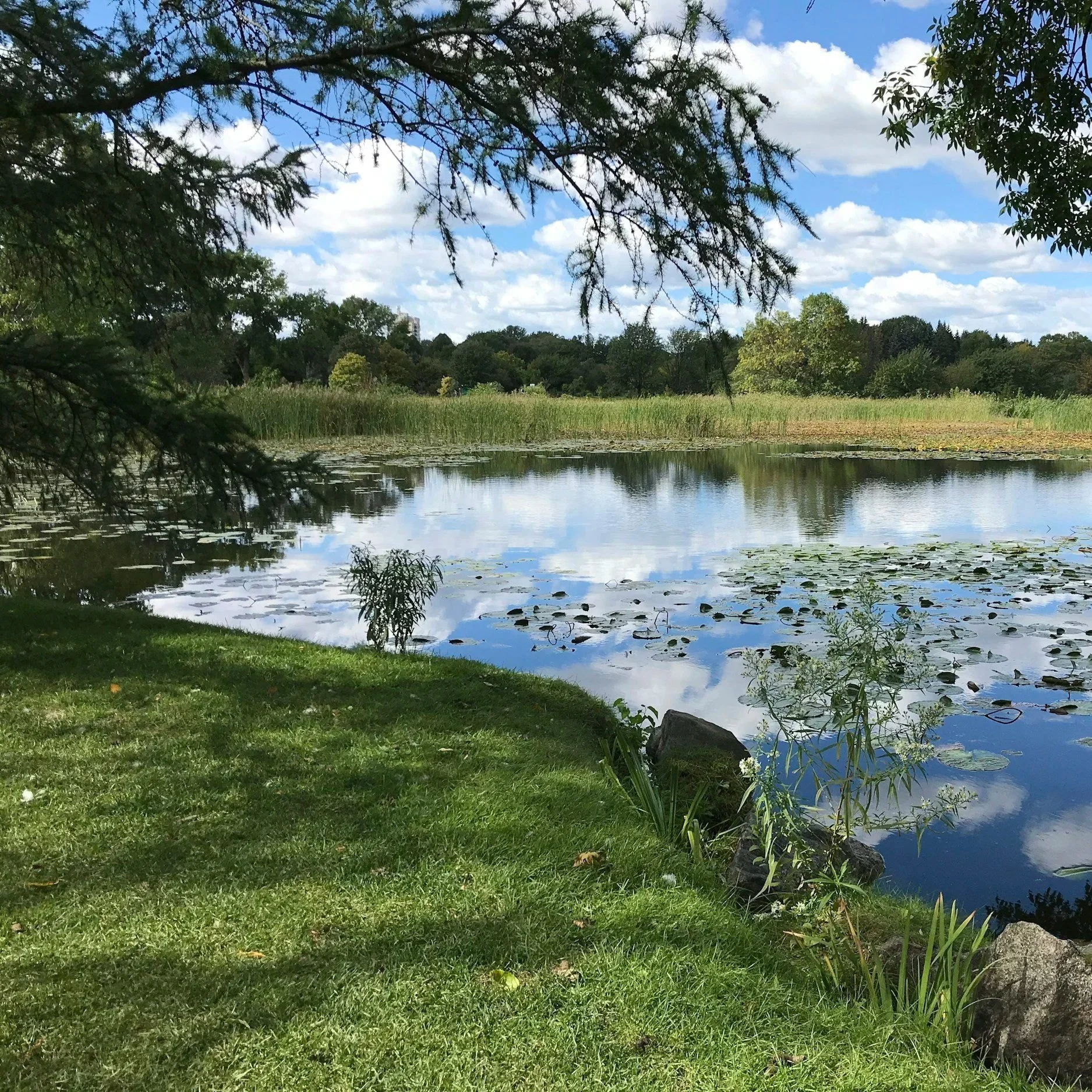 Restoring Tranquility: Expert Repairs for Pond Pumps