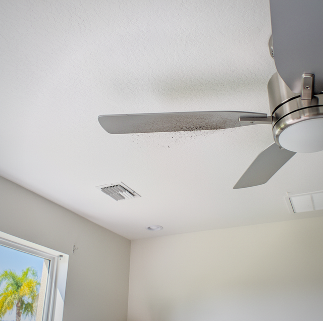 wobbling ceiling fan with loose blade screws