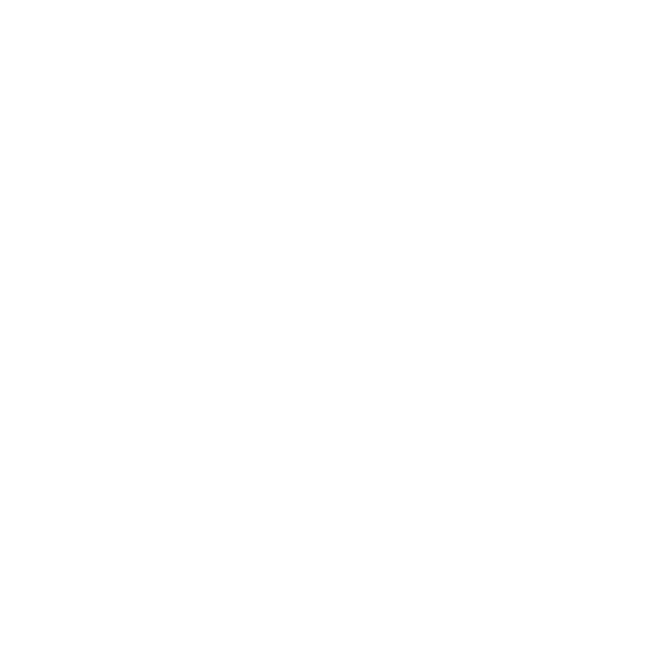 SNAP-ON.png
