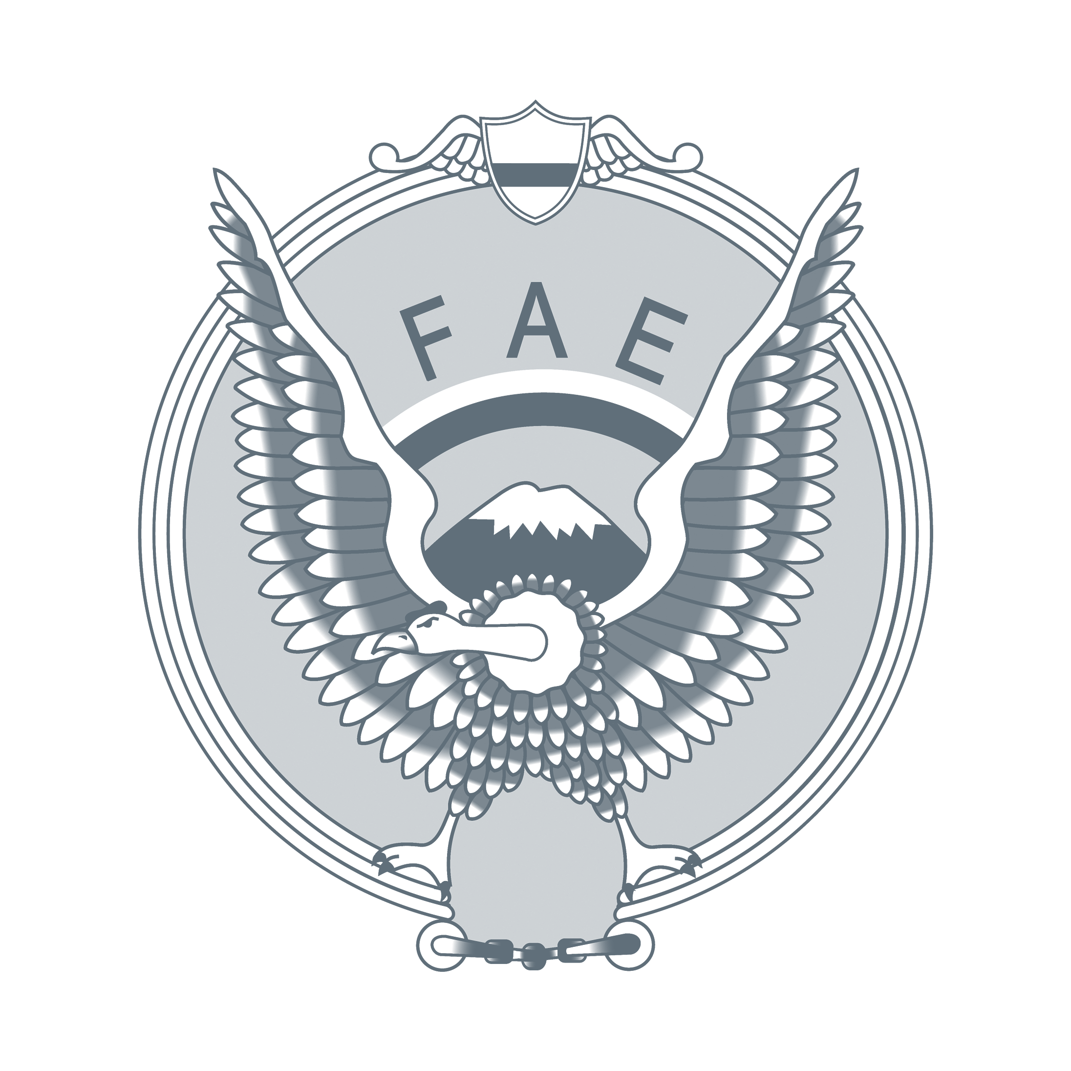 FAE logo