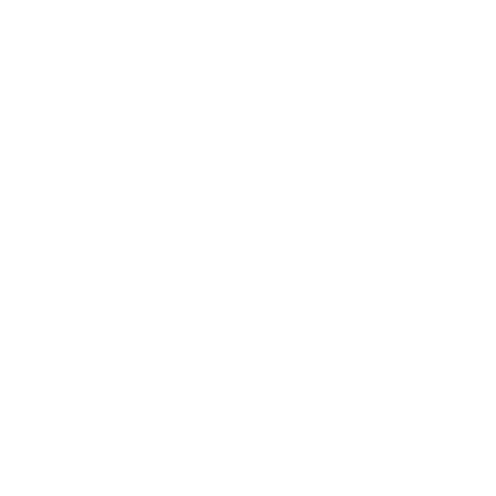 CESSNA.png