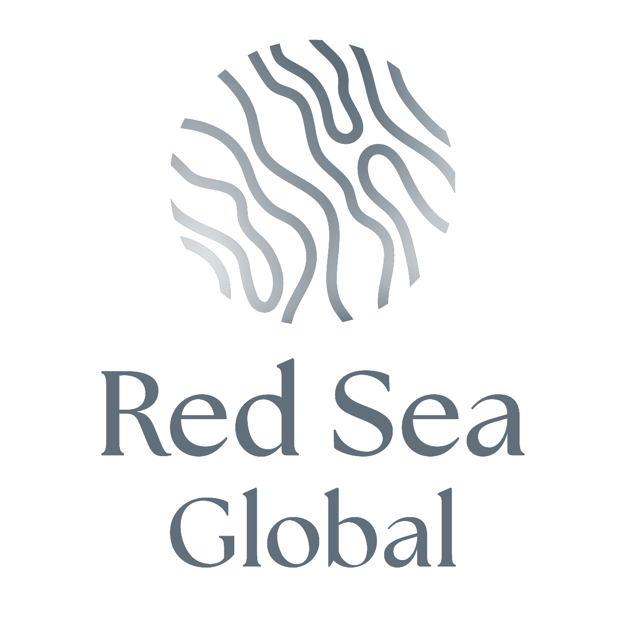 Red Sea Global logo
