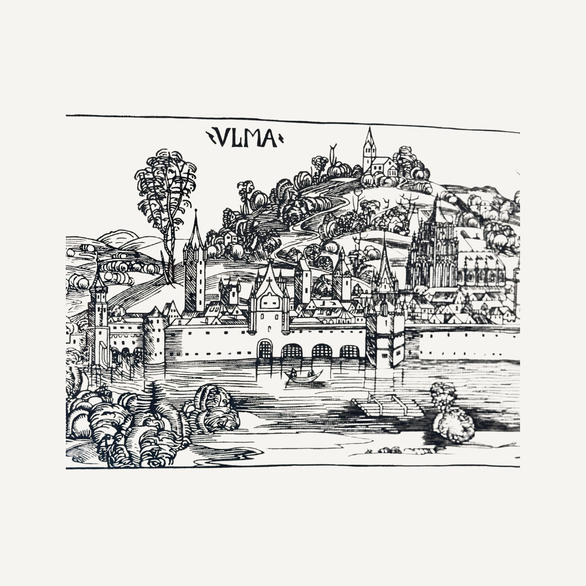 VLMA 3.png