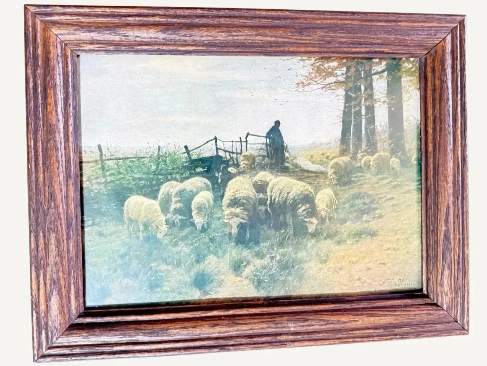 Sheep%25252B2.jpg