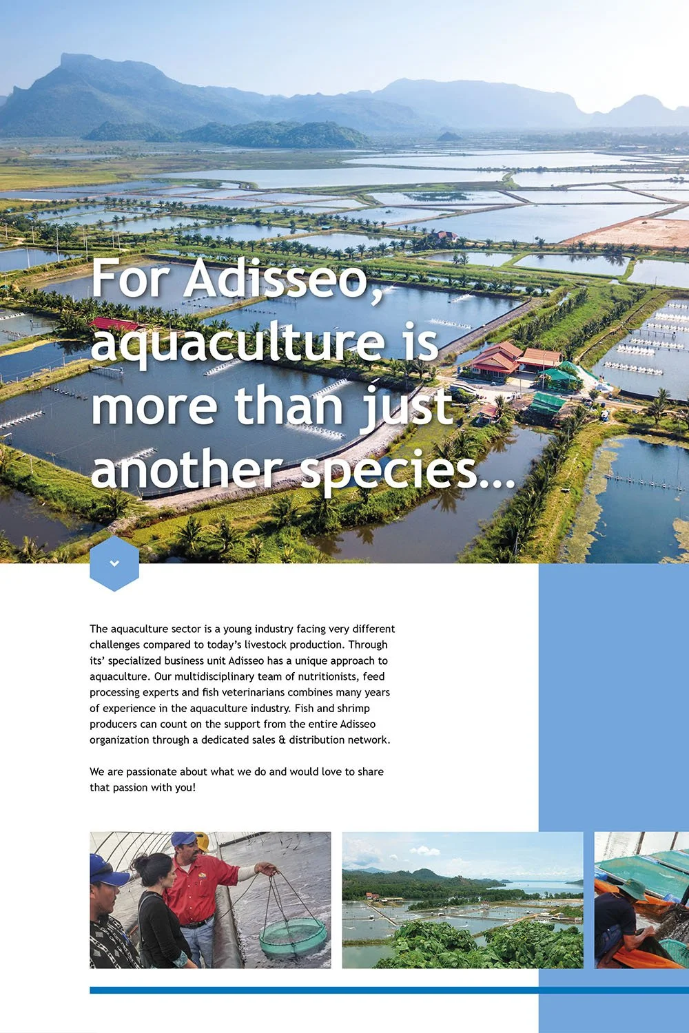Folders voor Adisseo: aquacultuur en biosecurity