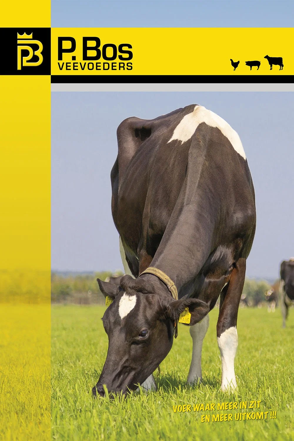 Voederlijn en jubileummagazine voor P. Bos Veevoeders