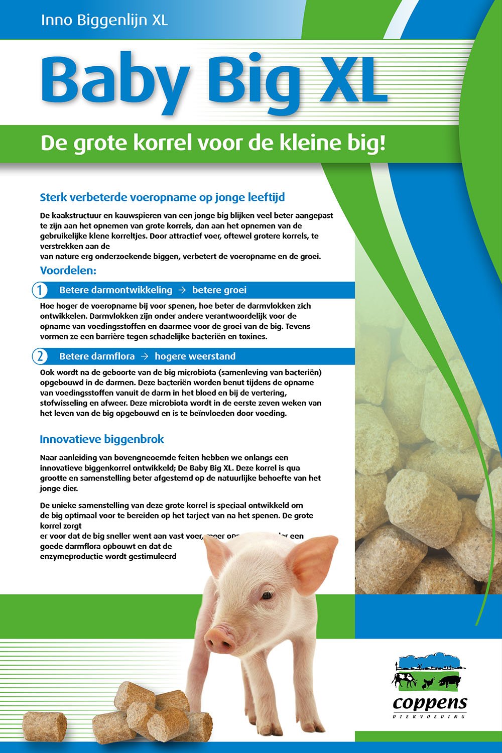 Baby Big XL-lijn voor Coppens Diervoeding