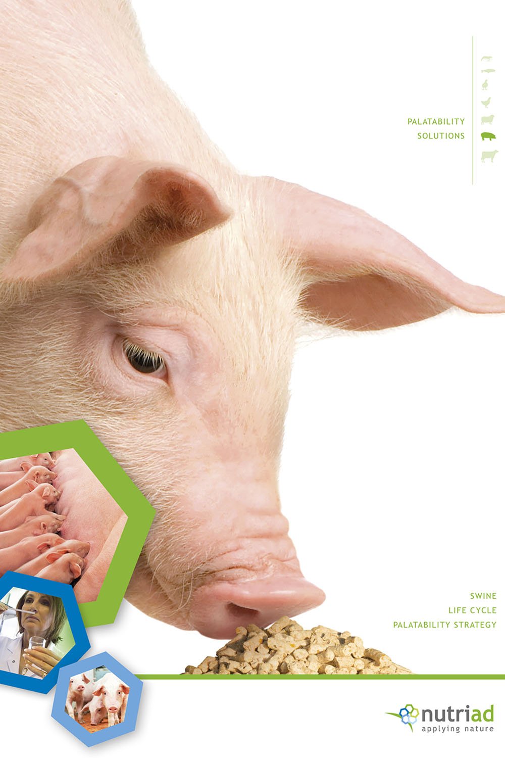 Productcommunicatie voor Nutriad en Adisseo