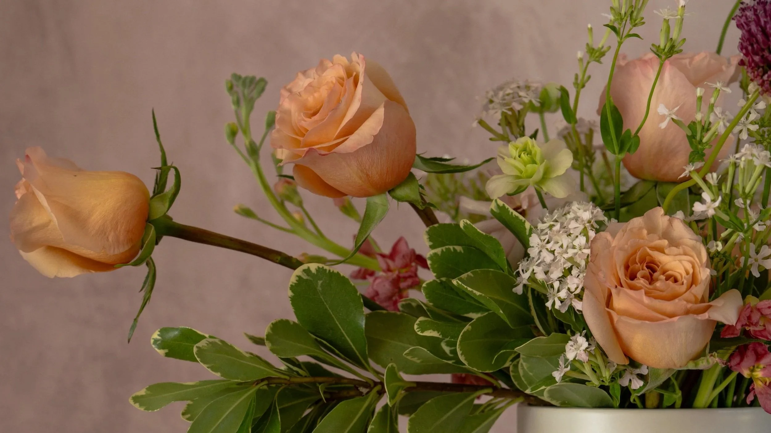 FLOWER+2-3-2.jpg.jpg