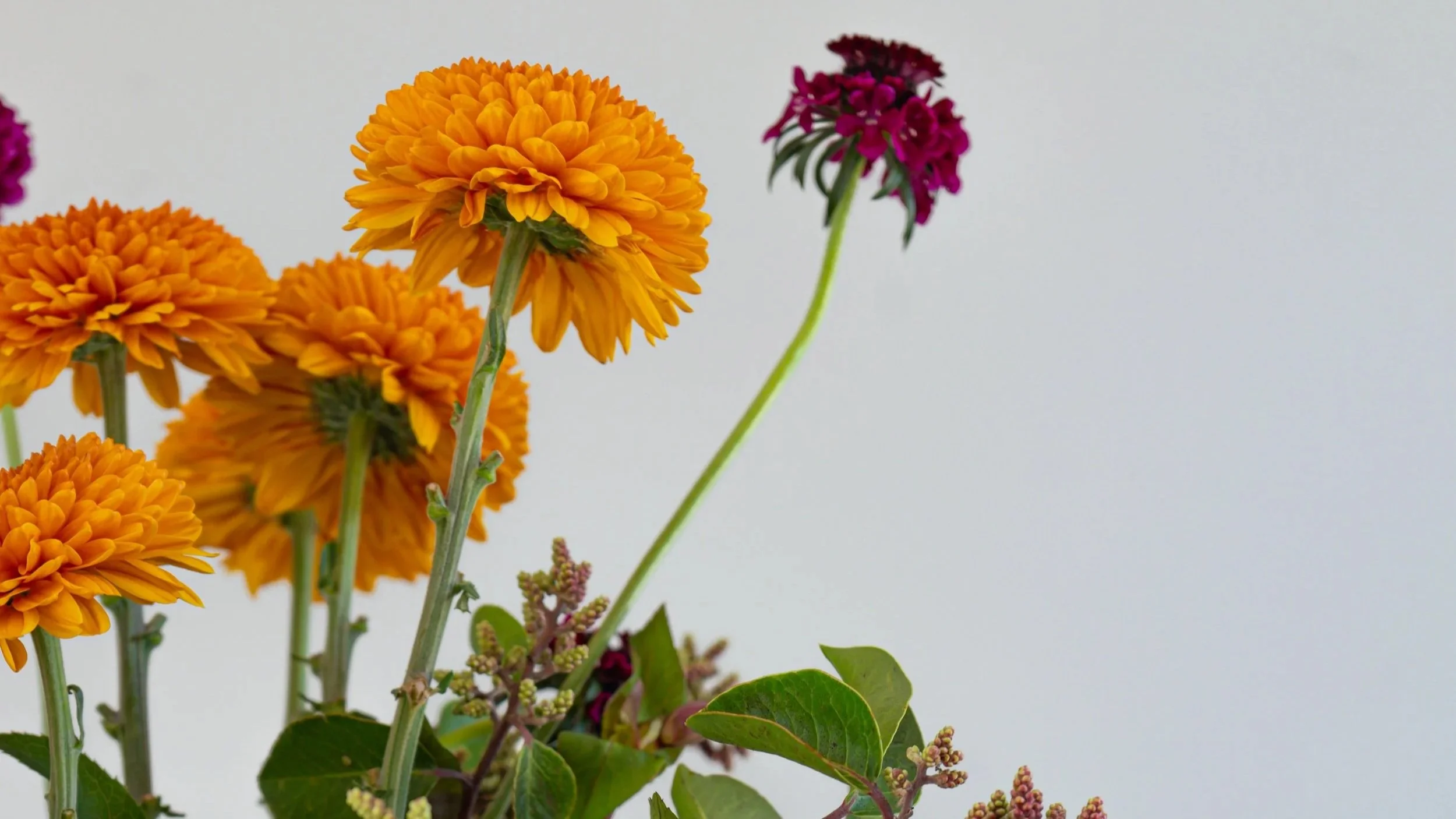 FLOWER-14.jpg.jpg
