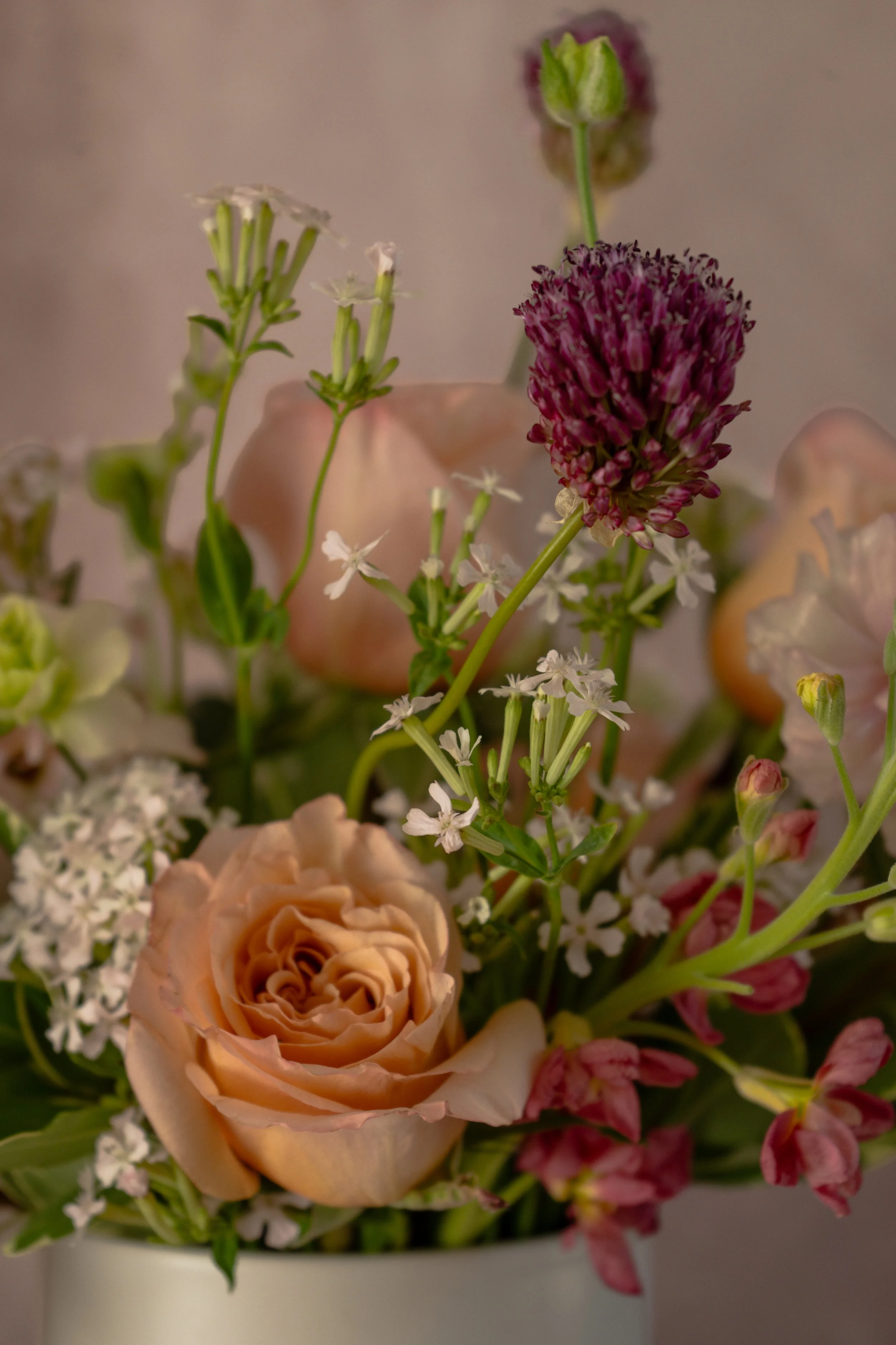 FLOWER 2-11.jpg.jpeg