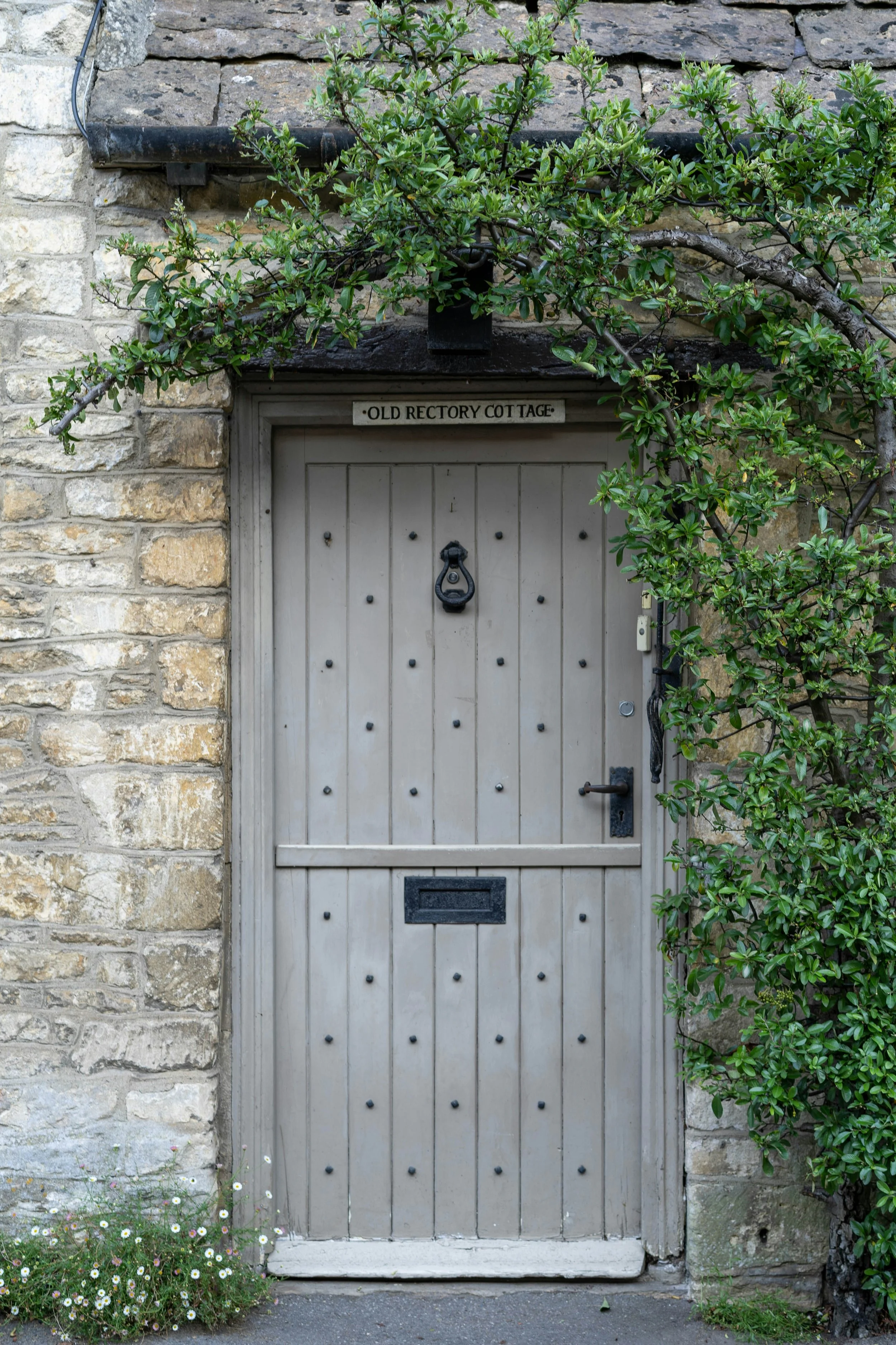 An old wooden door with a sign above it reading 'Old Rectory Cottage' set in a stone wall, surrounded by greenery including a bush and small white flowers.