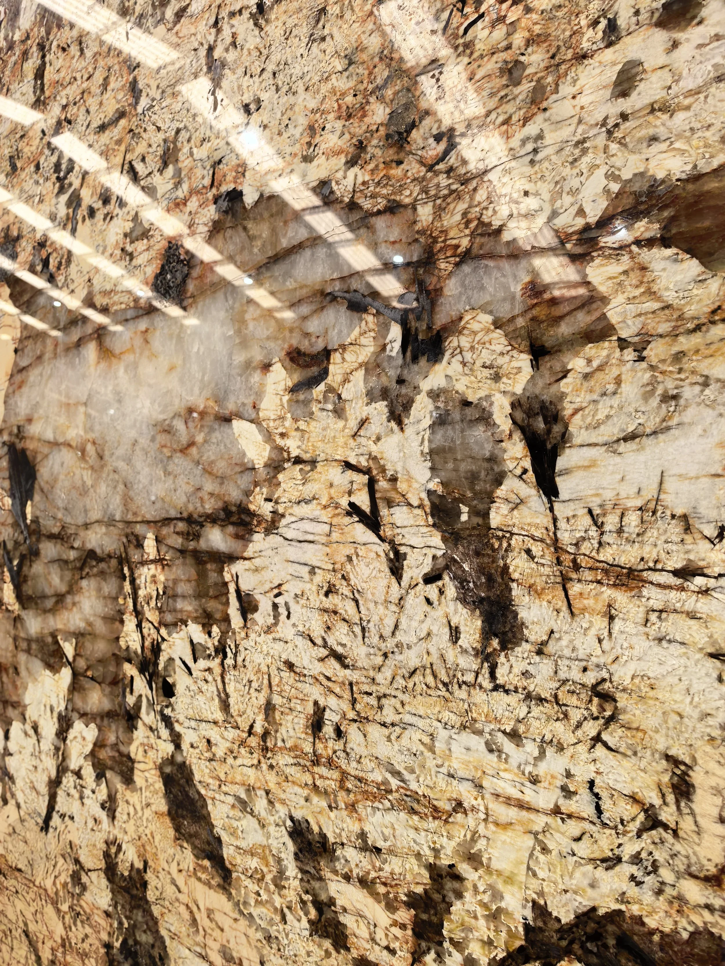 Close-up of rough, textured tree bark with dark crevices.